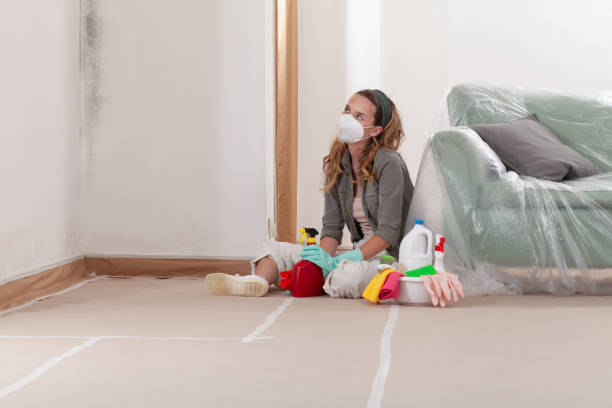 Reliable Mold Remediation contractor in Glencoe, IL by WQB Mold Removal